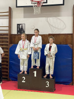 /album/mezioddilovy-turnaj-bustehrad-13-12-2025/img-20251214-wa0002-jpg/