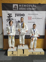 /album/pribram-4-rocnik-memorial-jiriho-straky-28-3-2026/20260328-162030-jpg/